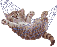 Relaxing Kitten