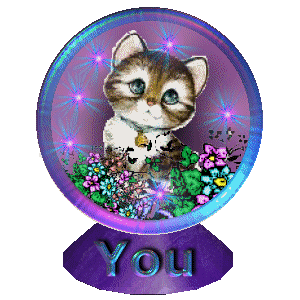 Cute Kitten